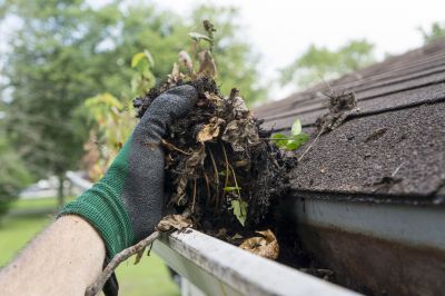 Cleaning Gutters and Downspouts